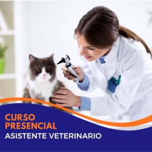 Asistente Veterinario
