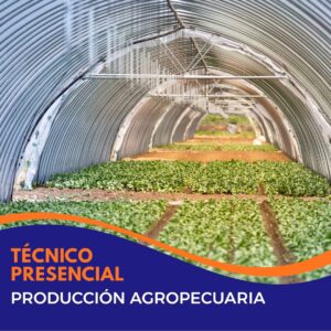 Técnico en Producción Agropecuaria