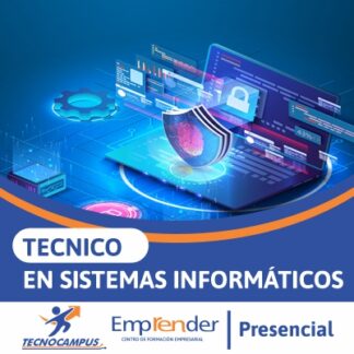 TÉCNICO EN SISTEMAS INFORMÁTICOS