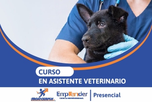 tec mercadeo y ventas