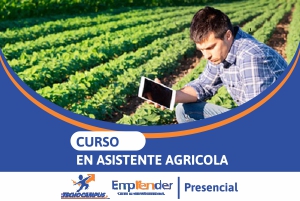 Cocina y Gastronomía