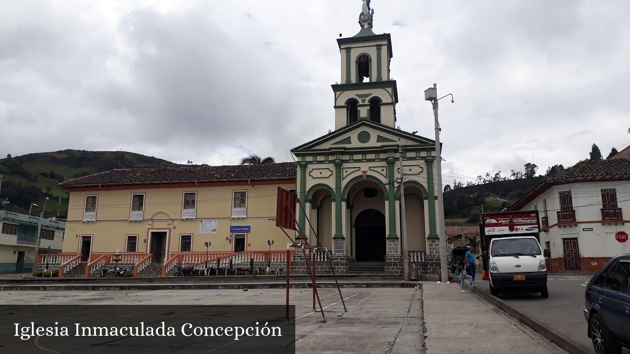 Sede 7