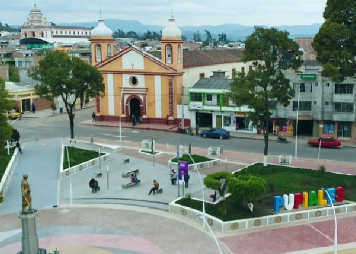 Sede 5